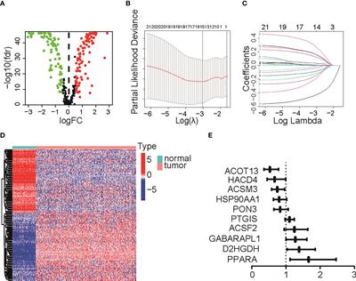 Identification of fatty acid signature to predict prognosis and guide clinical therapy in patients with ovarian cancer